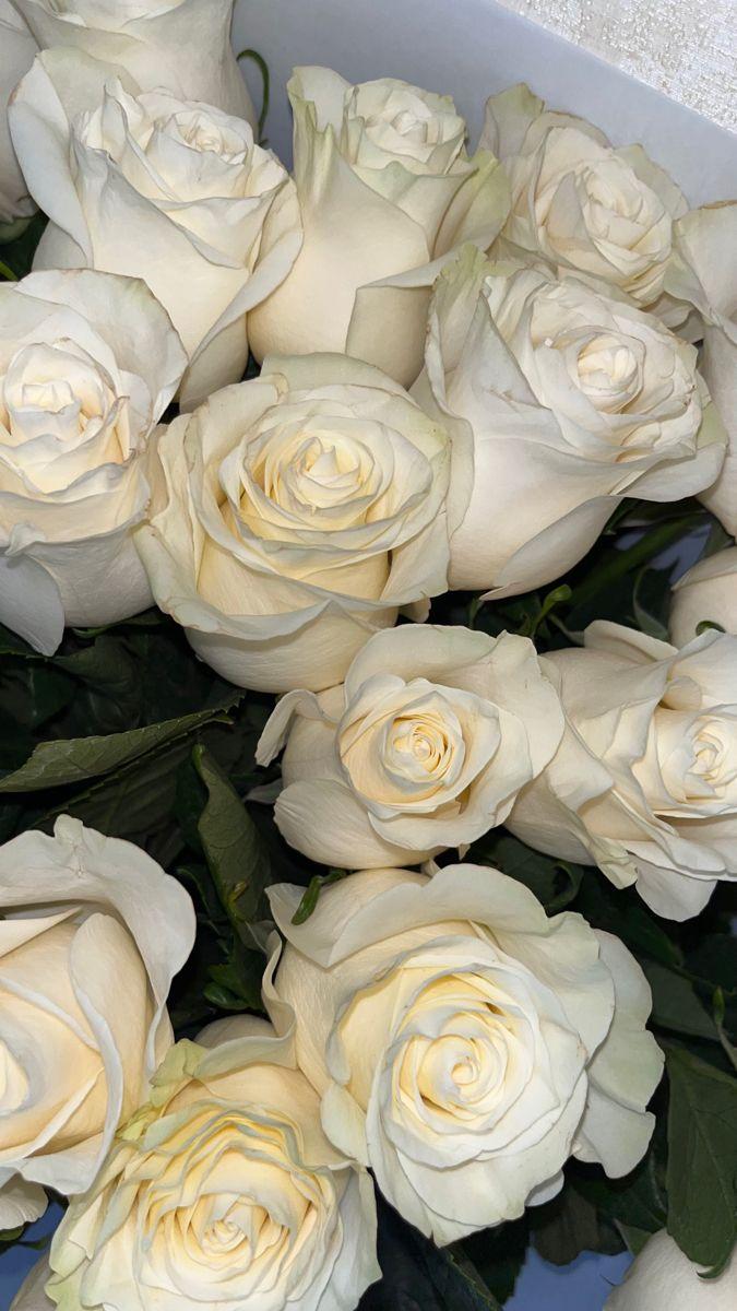 Meadow Breeze Serene Arrangement
